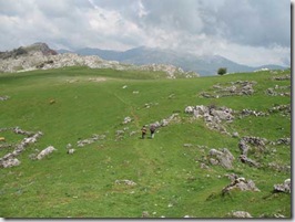 Tercera etapa, Saja-Tudanca