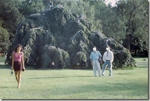 EtoqueloqueéMar11esplendor