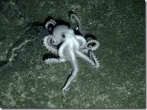 Foto de la Oxford University