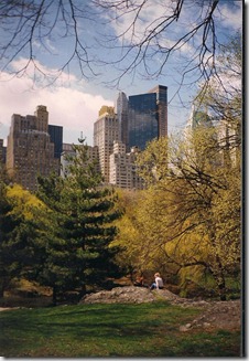 Central Park, New Work