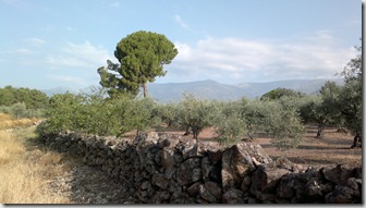 La Vera Olímpica (Prólogo e Inauguración)