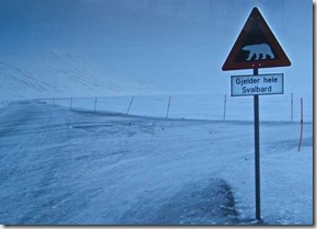Andrés Magai Paisajes Boreales