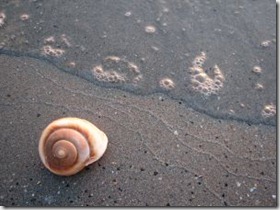 Comunicador silencioso 2