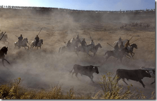 Cuéllar, el Jefe de Toros I