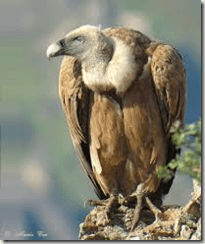 Enriquecimiento injusto 2