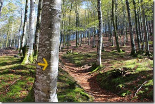 Puerto Belate, web oficial