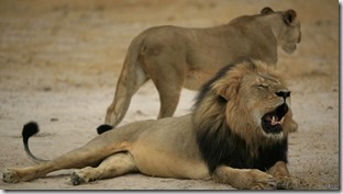 Malos tiempos para el León