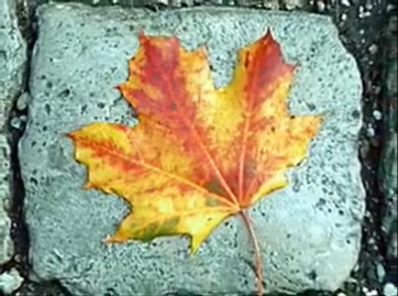 manana-de-septiembre